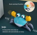 Rechargeable Crawling Musical Crab Toy - Image 4