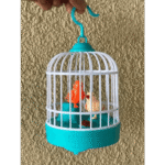 Talking Bird Toys Baby - Image 2